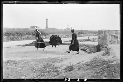 Une photographie en noir et blanc de deux sardinières qui transportent un panier à sardines.