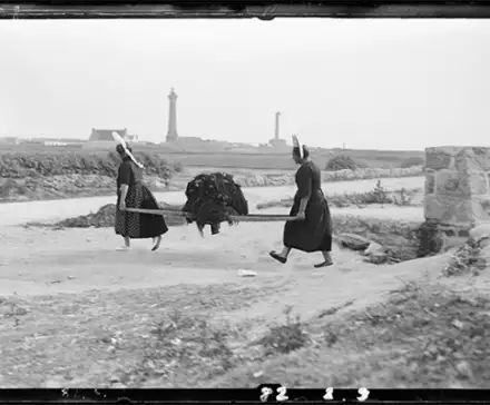 Une photographie en noir et blanc de deux sardinières qui transportent un panier à sardines.